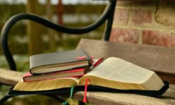 books-buch-bank-seiten-aufgeschlagen-stapel